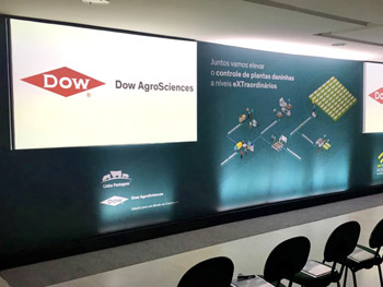 Cenografia Dow 2017 -  | 